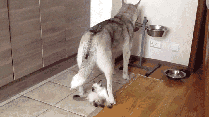 Гифки разные