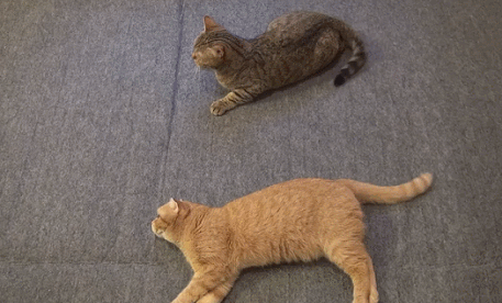 Гифки разные