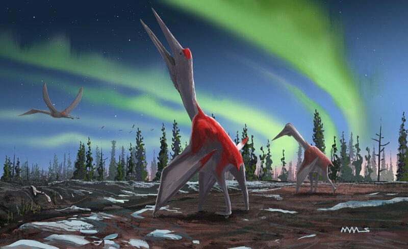 "Холодный дракон": обнаружен новый вид гигантского летающего динозавра