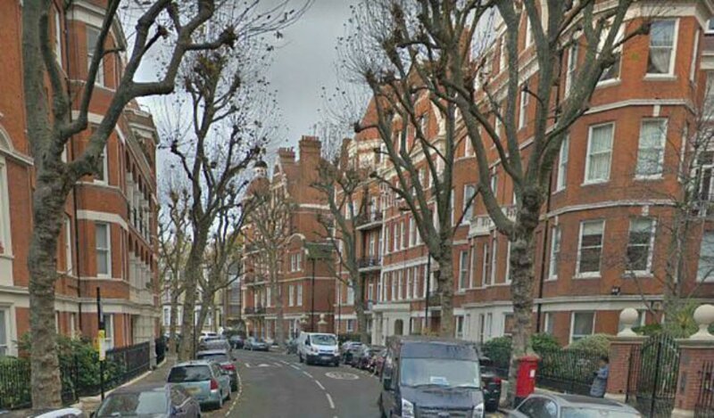 Природа сильнее: дерево поглотило почтовый ящик на улице Лондона