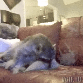 Гифки разные