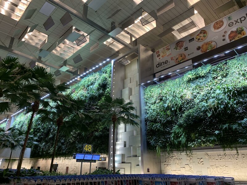 Вертикальный сад в аэропорту Сингапура