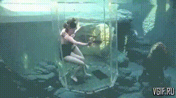 Гифки разные