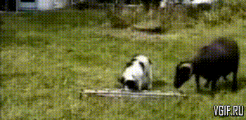 Гифки разные