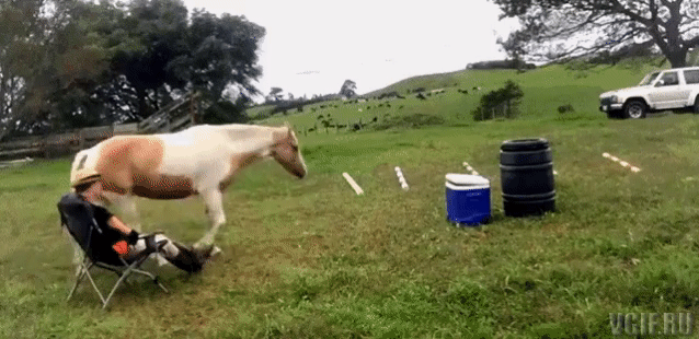 Гифки разные