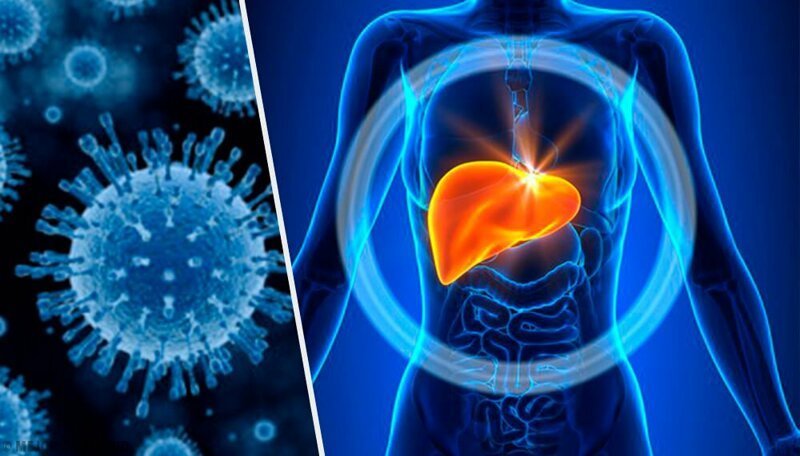 Почему гепатит может протекать бессимптомно