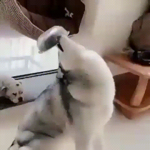 С добрым утром! С добрым утром!