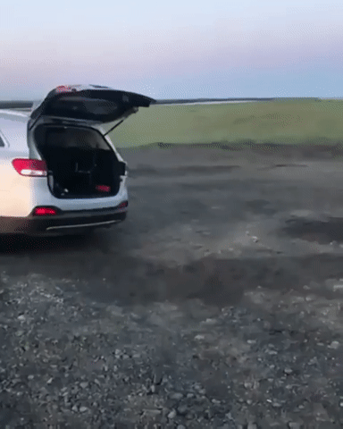 Подборка автомобильных гифок Подборка автомобильных гифок