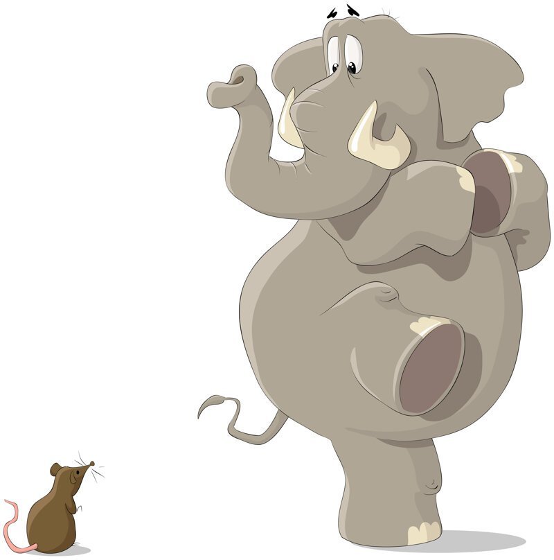 Боятся ли слоны мышей: теории, мифы, эксперименты