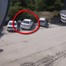 Гифки разные