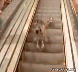 Гифки разные