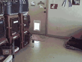 Гифки разные