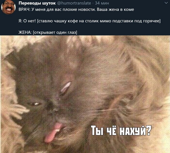 Скрины из социальных сетей