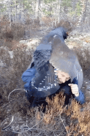 Прекрати снимать и лучше помоги мне!