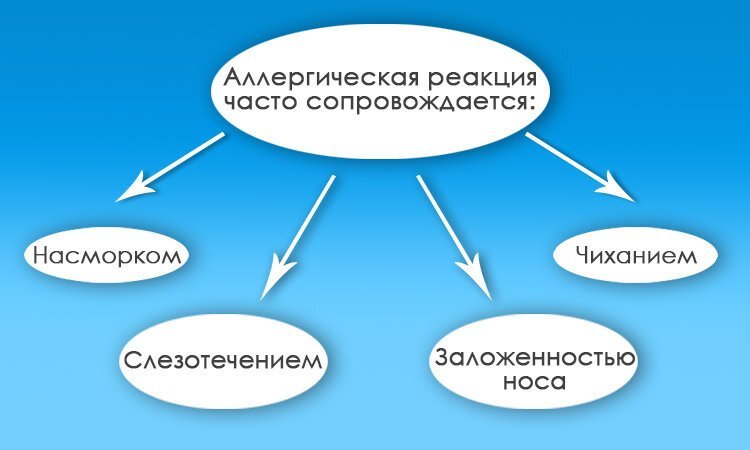 Из-за чего чешется нос: причины, заболевания, профилактика