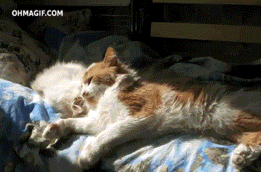 Гифки разные