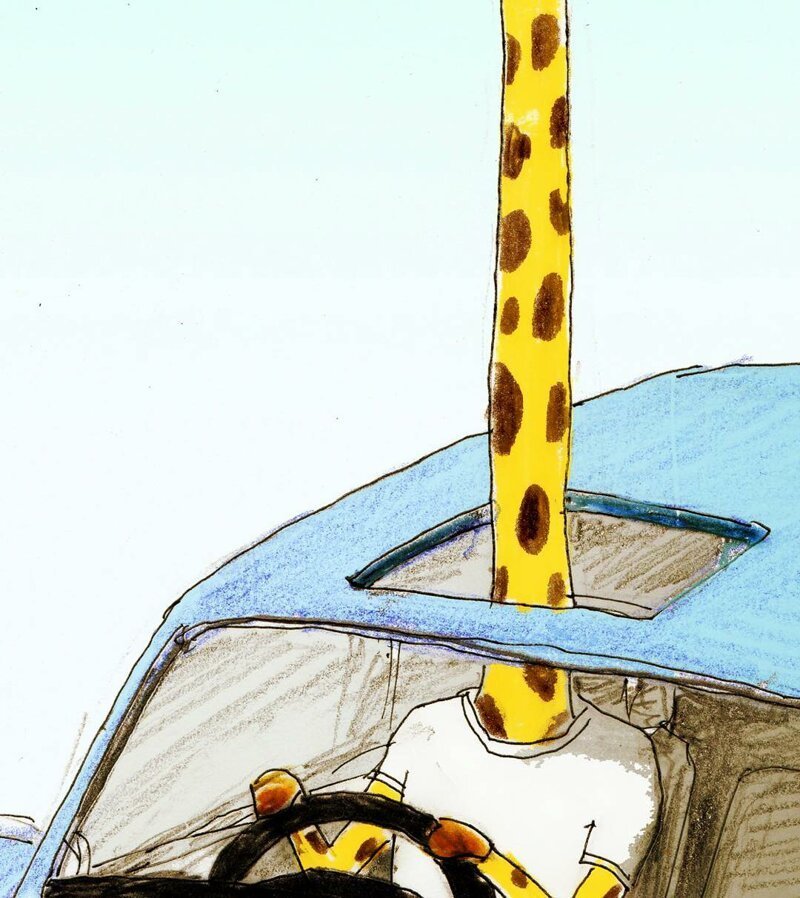 10. Жираф водит автомобиль