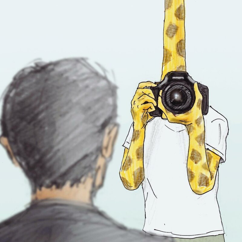 4. Жираф-фотограф