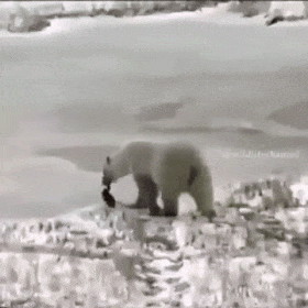 Гифки разные