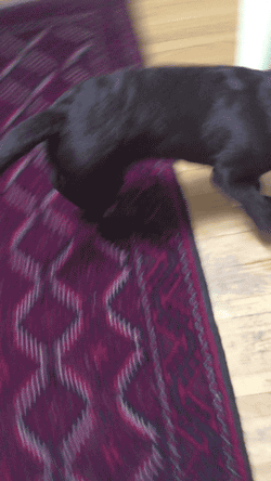 Гифки разные