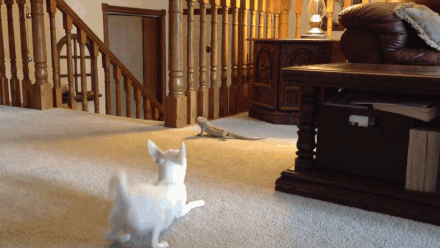 Гифки разные