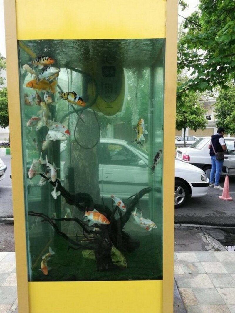 Старую телефонную будку превратили в аквариум