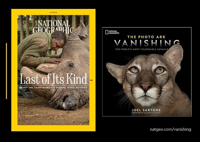 Исчезновение Ковчега: самые уязвимые виды в октябрьском выпуске National Geographic