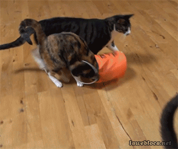 Гифки разные