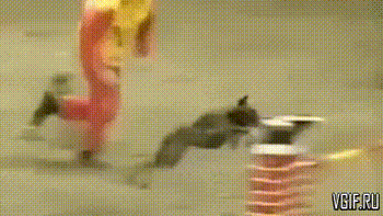 Гифки разные