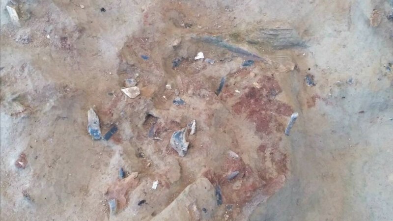 Археологи обнаружили в Брянской области святилище возрастом 23 тысячи лет