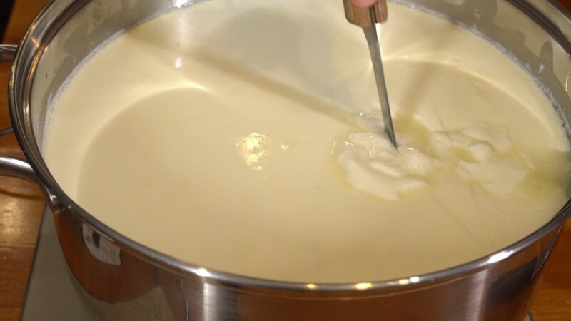 Домашний сыр брынза из молока с уксусом