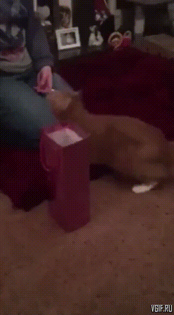 Гифки разные