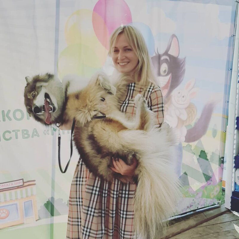 Собака-кенгуряка – удивительный пёс из Воронежа