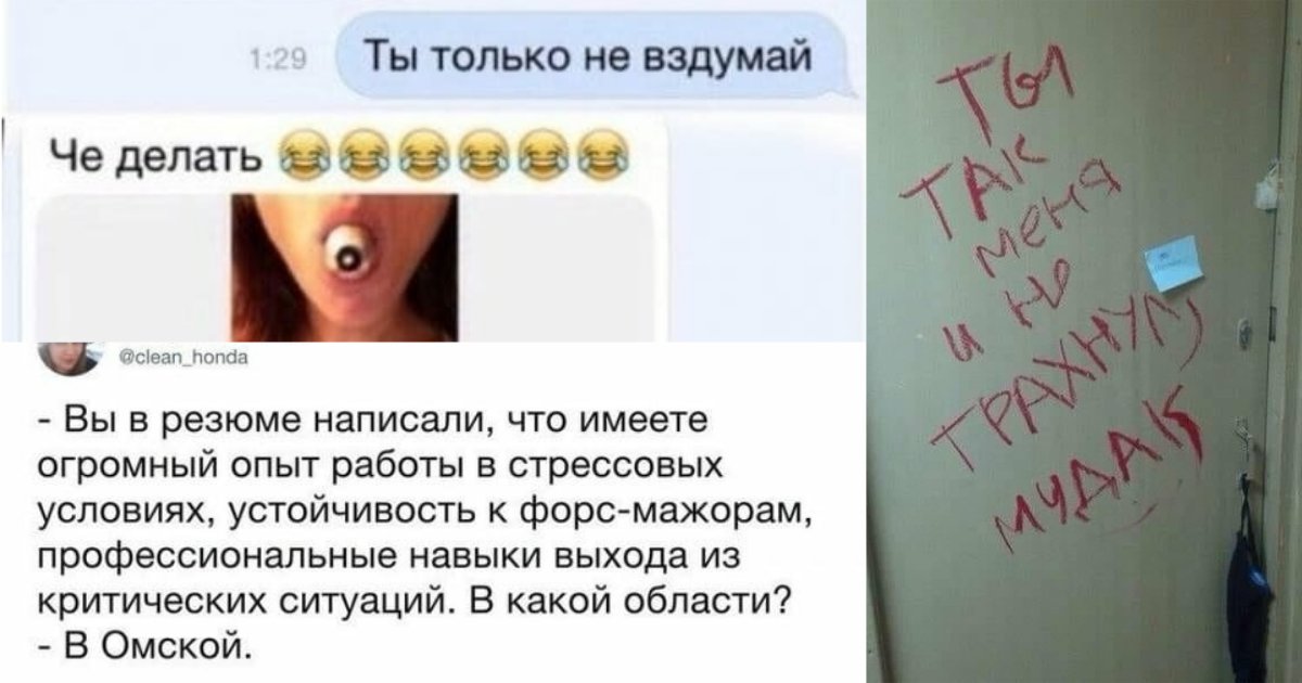 15 доказательств того, что для женской логики и интеллекта нужно ввести отдельные определения