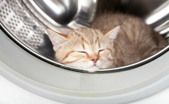 Почему бьет током стиральная машина-автомат?