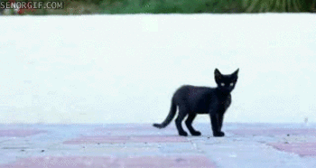 Гифки всякие