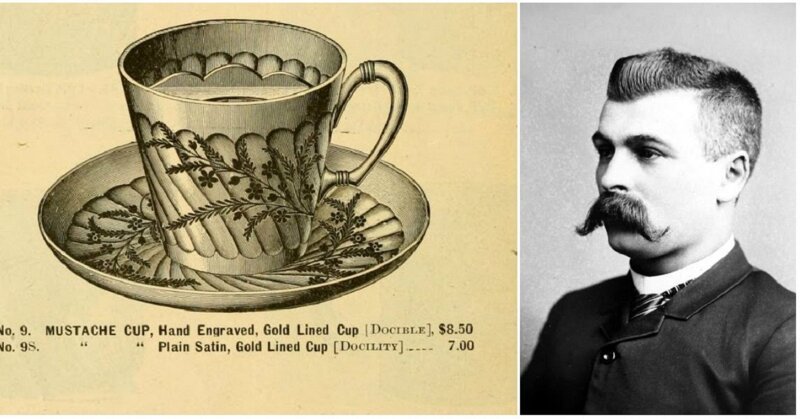 Чашки для усачей - странная мода XIX века