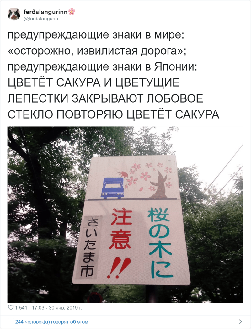 Девушка из России живёт в Японии и рассказывает об этой стране так, как не сумеет ни один гид