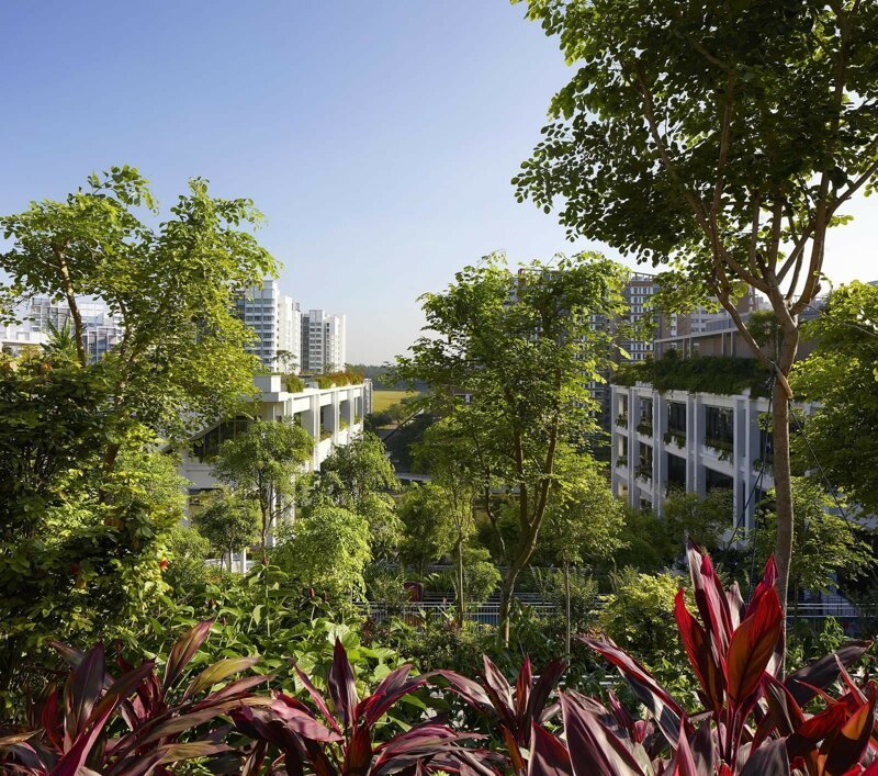 Общественный центр и поликлиника Oasis Terraces в Сингапуре
