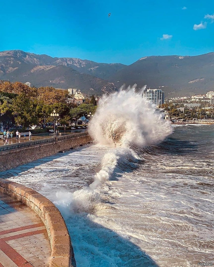 Погода в ялте вода. Ялта. Крым Ялта. Ялта набережная шторм. Шторм на море в Ялте.