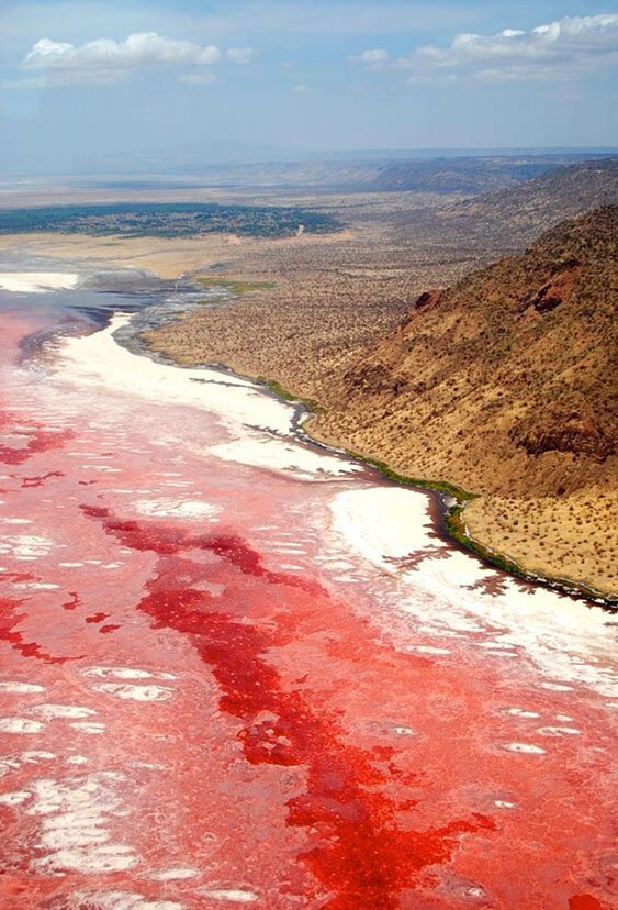 Кровавое озеро Африки