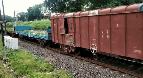 Зайцем едет