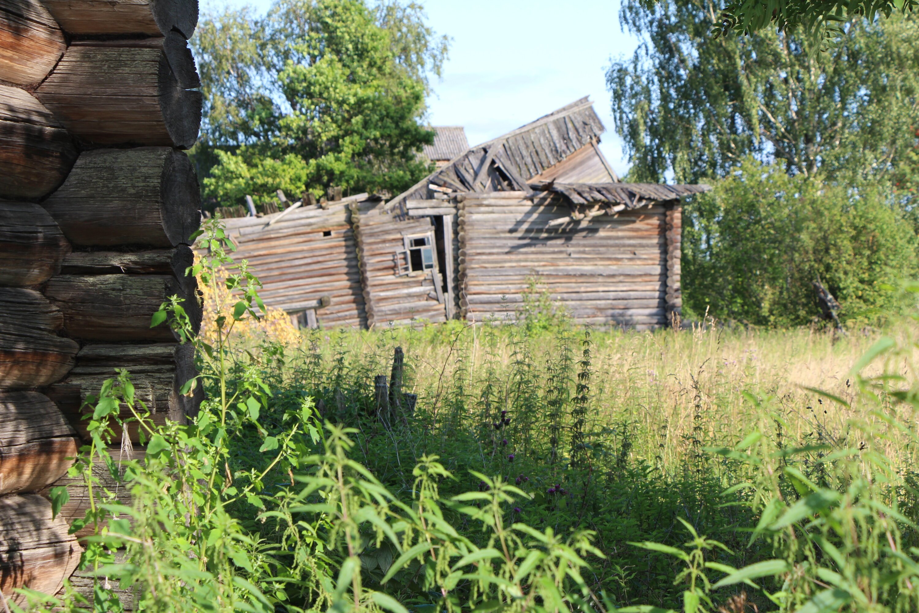 Деревни костромской области фото