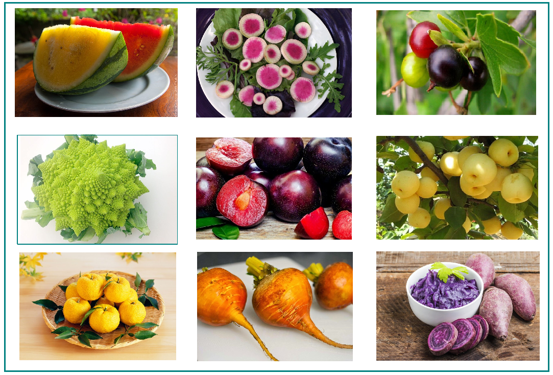 Какие есть сорта растений. Селекция фруктов. Гибриды овощей. Гибридные фрукты и овощи. Гибриды растений.