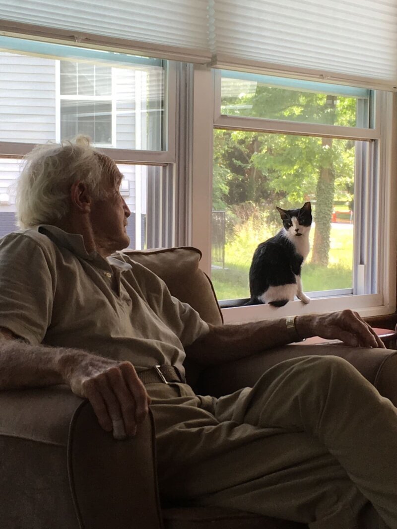 8. «У деда впервые за 90 лет появился кот. Он назвал его Кот»