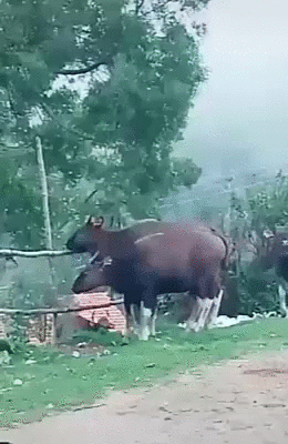 Гифки разные Гифки разные