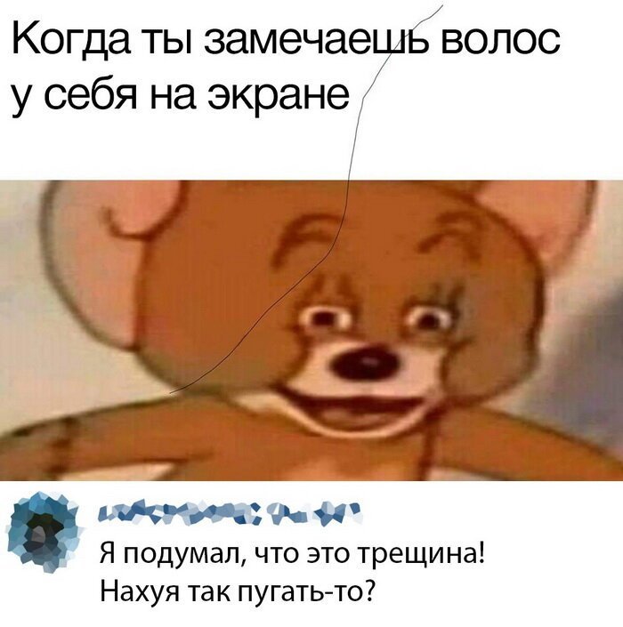 Скрины из социальных сетей