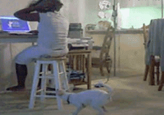 Гифки всякие