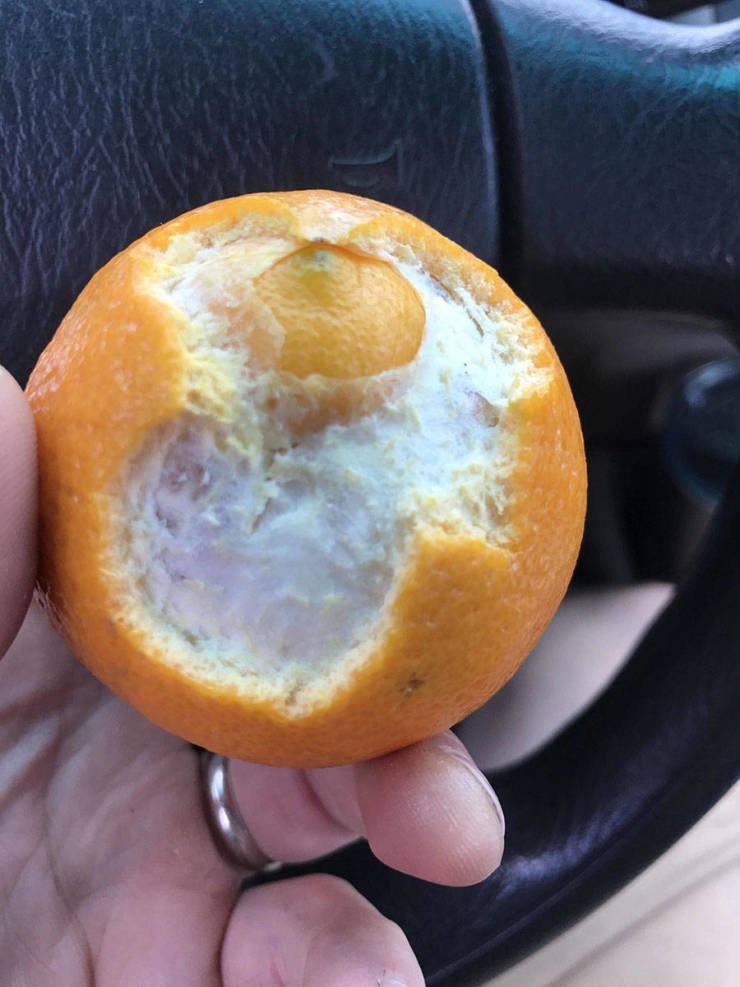 Апельсин-мутант