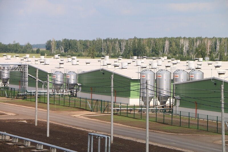 В июле 2019 в России открылось 19 предприятий агропрома